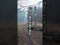 60歳を過ぎてふと考える『今日まで生きてきた』#名言 #名言集 #心に響く言葉