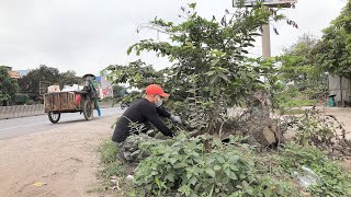 I volunteered to clean roadside lawns, cut grass and cut trees with rudimentary tools