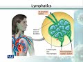 BT102 Microbiology Lecture No 91