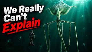 Why Squids get Creepier the Deeper you Go