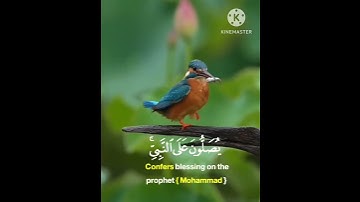 حالات واتس اب يوم الجمعه //القارئ: سلمان العتيبي