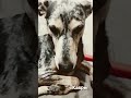 Kasper. Безобразие.