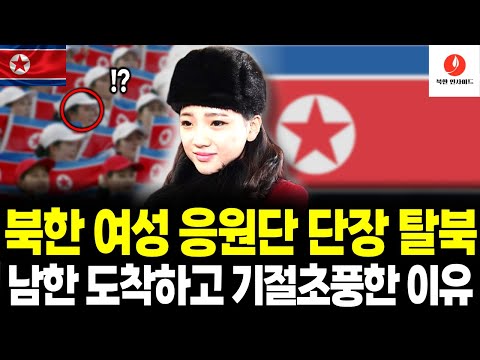 북한 최고 미녀 응원단장 탈북! 남한의 '이것' 보고 뒷목 잡고 쓰러진 이유 [탈북민 스토리] [AI 컨텐츠]