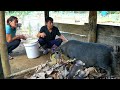 TU &amp; DAU happily welcomed the new born wild boar herd. Cook nutritious food for mother pigs