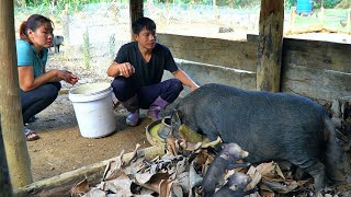 TU &amp; DAU happily welcomed the new born wild boar herd. Cook nutritious food for mother pigs