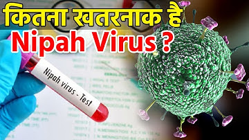 जानिए Nipah Virus के बारे में सबकुछ, कैसे करें इससे बचाव?