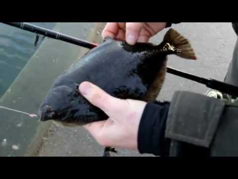 Video: Sådan Tilberedes Skrubbe Fisk