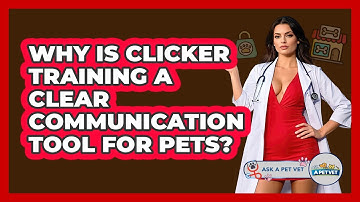 Why Is Clicker Training A Clear Communication Tool For Pets? - Ask A Pet Vet