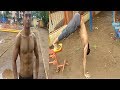 Best bodyweight shoulder workout in hindi calisthenics workout india