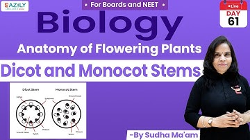 Anatomy of Flowering Plants | Dicot and Monocot Stems | Class 11 | NEET | Biology