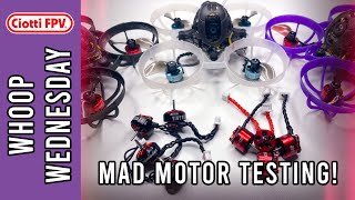 Mad Motor Testing 0702, 0603, 0802 - Male Bag - Q&A