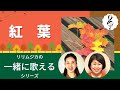 【一緒に歌えるシリーズ】大人のための童謡・唱歌「紅葉」(大きな歌詞付)