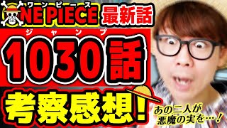 ワンピース最新1030話 まさかのあの二人が悪魔の実の を ロー キッドがヤバアツすぎる回 One Piece ジャンプ最新話ネタバレ注意 考察 Youtube