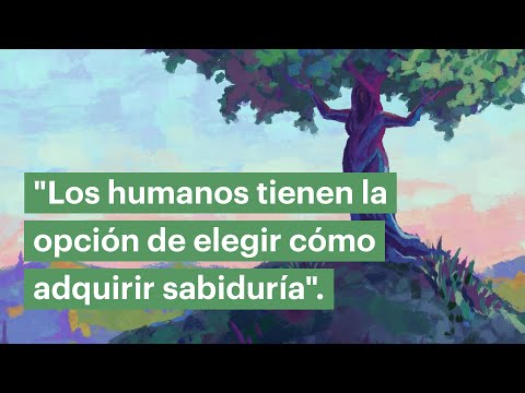 Los Libros de Salomón