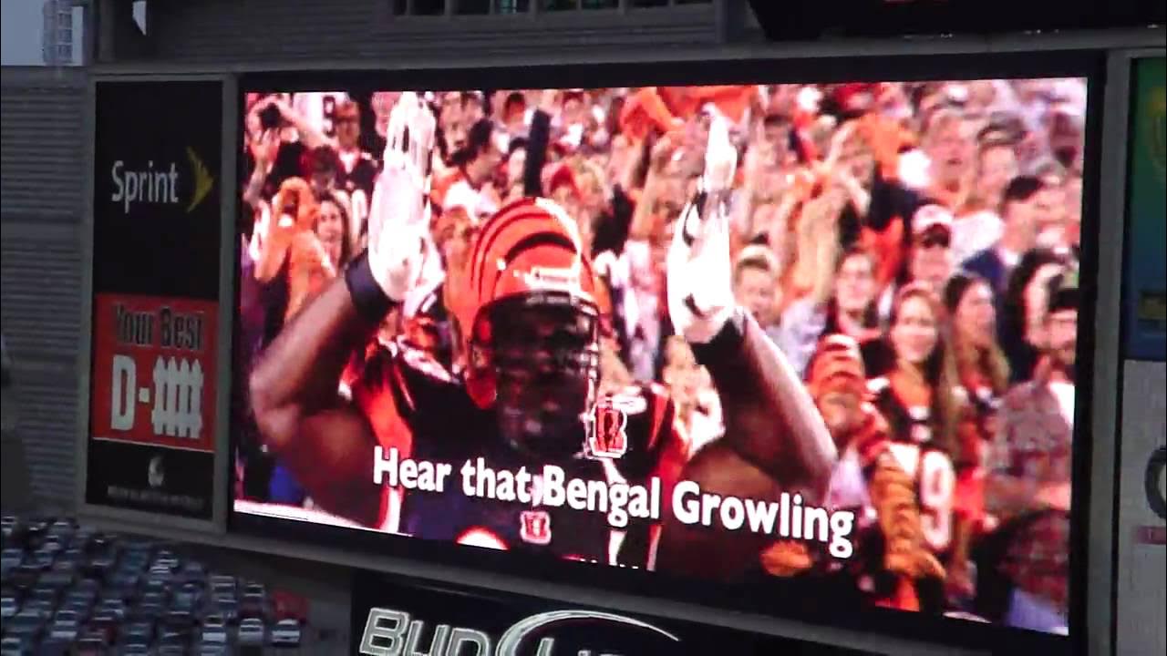 Bengals Fight Song! Bengals Fight Song!
