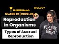 Cbse class 12  reproduction in organisms  l2  types of asexual reproduction  biology  padhle