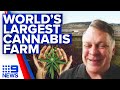 World’s largest cannabis farm stationed in Queensland | 9 News Australia