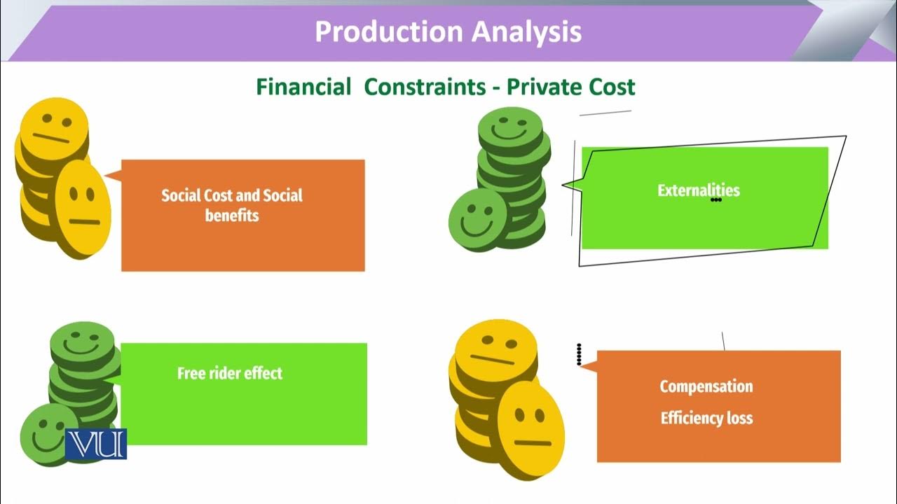 Financial Constraints Private Cost Microeconomic Analysis ECO614