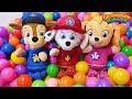 Paw patrol baby pups home alone and get a new house learnings for kids