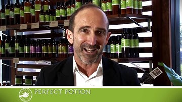 Take a Look  Perfect Potion