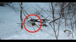 か弱い鳴き声を聞いた父親は、雪の中に捨てられた子猫に気づく