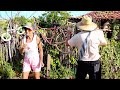 O VELHO DO TIK TOK O NOVO ASTRO DE MOSSORÓ OS NOVOS CLIPES OFICIAIS E A CANTORA KALIANE