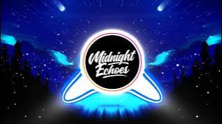 Heat Waves - Glass Animals (Visualiser | Midnight Echoes)