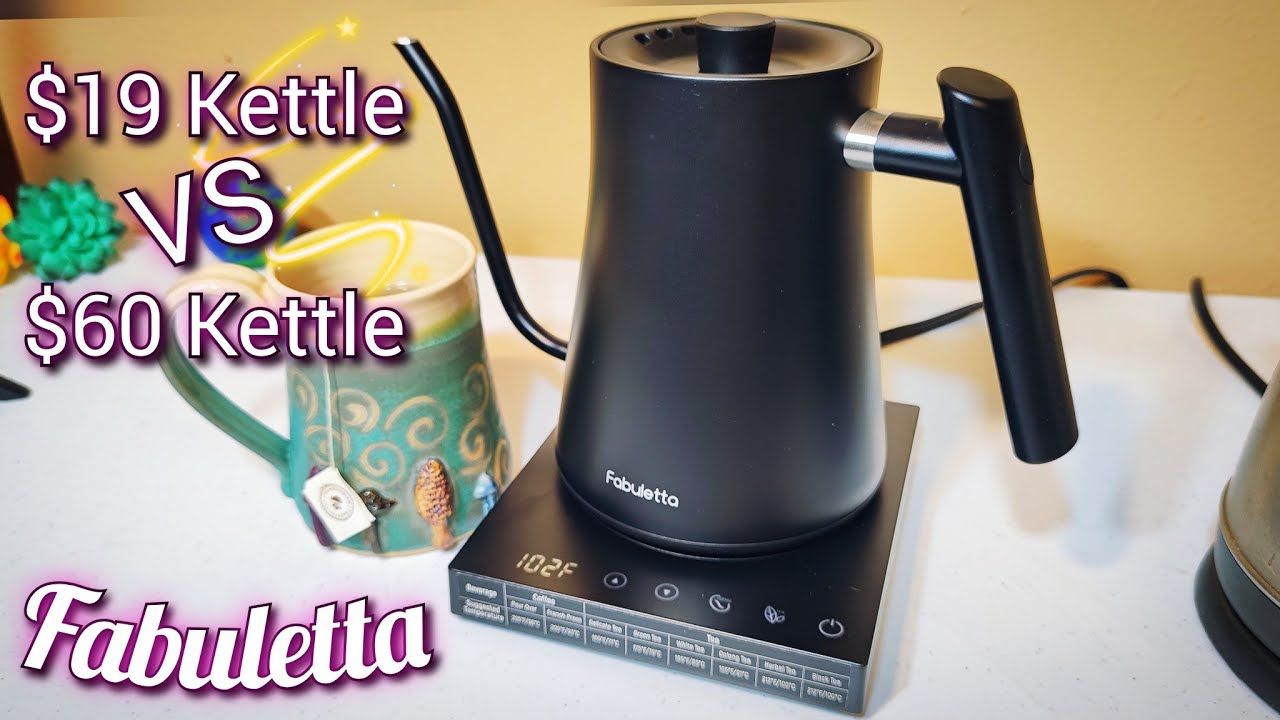 INTASTING Electric Kettle Review! 