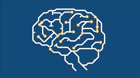 Lighting Up The Brain With Optogenetics