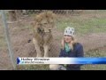 Lion Attacks News Reporter