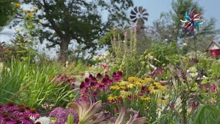 Kucko's Camera: Serenity garden