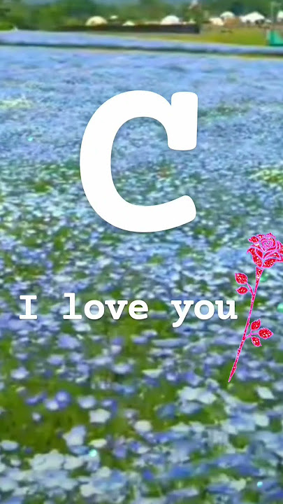 C name love//C name laters video//C name Whatsapp status video//C name love you