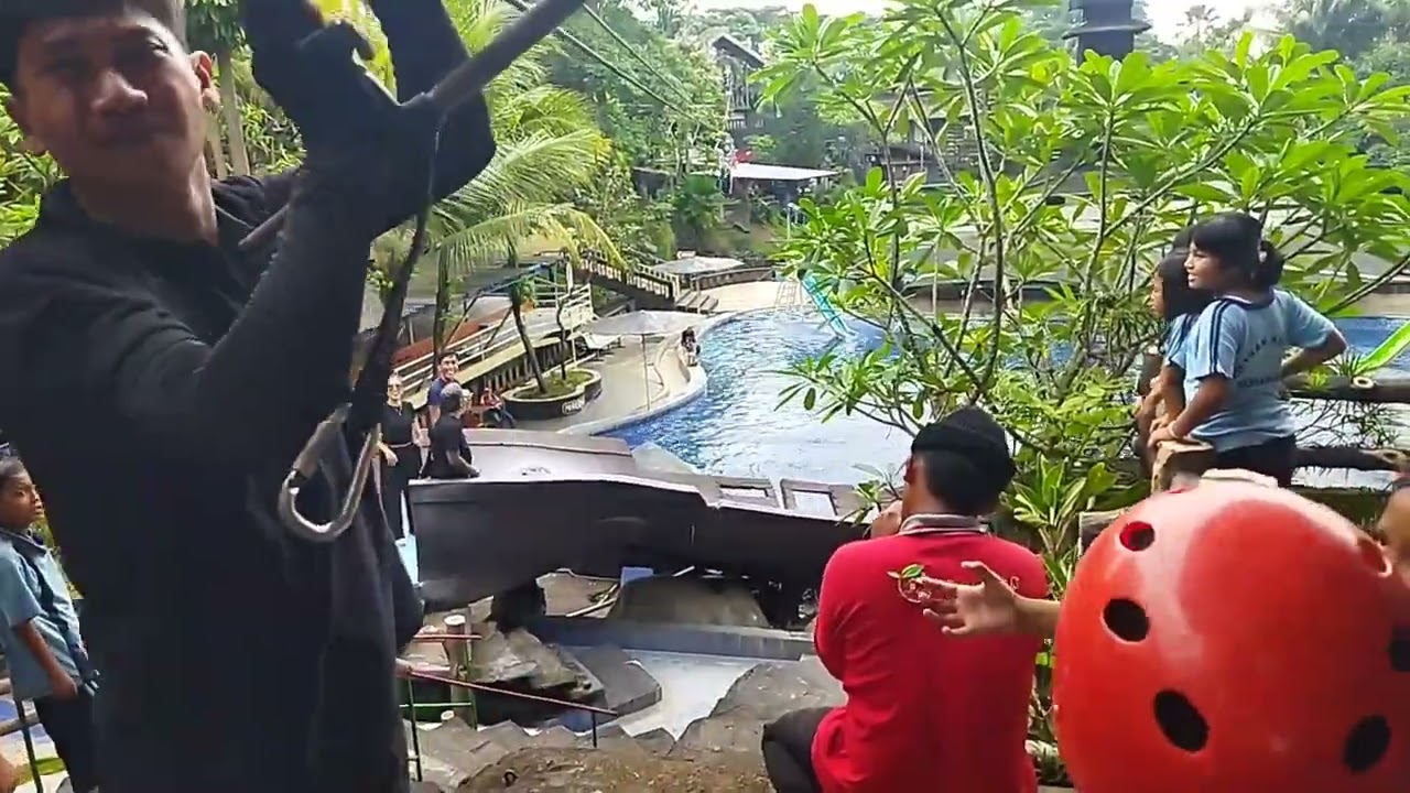 flaying fox SD ikan kerapu