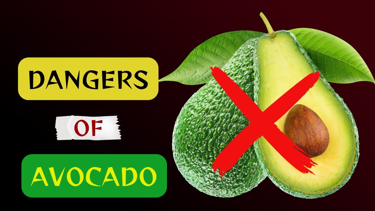 Avoid Avocado If You Are On These Medications