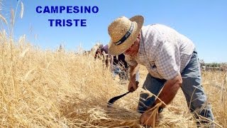 CAMPESINO TRISTE-  POR RAFAEL HIDALGO. chords