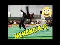 Best in pencak silat