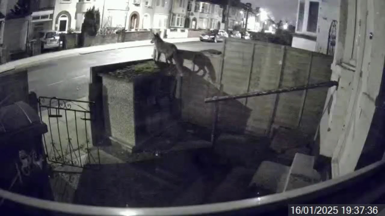 How Many Can You Spot?