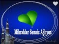 Mihraplar sensiz alyorhasretinle ey nebi