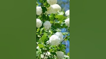فسبحان الله حين تمسون وحين تصبحونتلاوة مميزة القارئ عبد الله الخلف