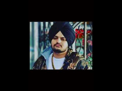 sindu mose wala. viral video.