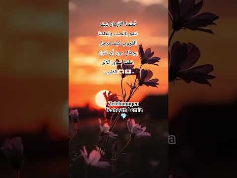 فلسفة البدايات والنهايات/عناق الضياء والندى