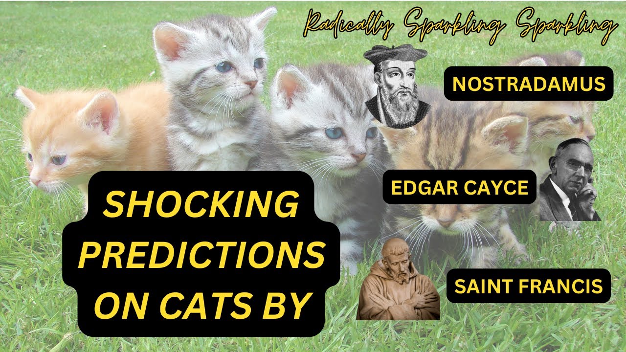 CHOSEN ONES EXTRA SPECIAL WITH CATS IN LIFE, NOSTRADAMUS, EDGAR CAYCE ...
