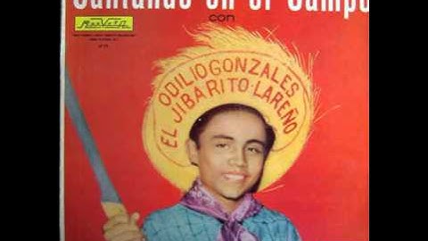 Amor A La Ligera - Odilio Gonzalez (Audio)