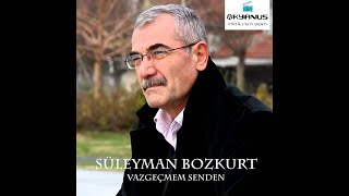 AYRI KALAMAM-SÜLEYMAN BOZKURT 2014 Resimi