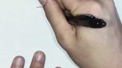 Aging Accounts Receivable - Chapter 8 – Problem 8-3A - Introductory Financial Accounting I