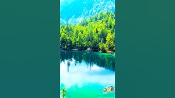 سورة الأنبياء و..كا.،نك تسمعها لأ،.و.ل مر.ة💜..🌸🧡؛،💖🌷💮،؛💟بصوت الشيخ حمزة مد؛بو.ح 💓🌹..💚❤️💙،؛💕🌼،❣️