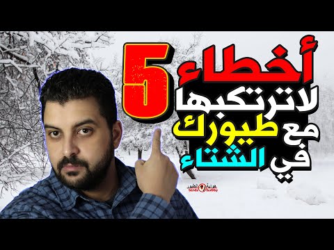 فيديو: ماذا تفعل مع الطاووس في الشتاء؟