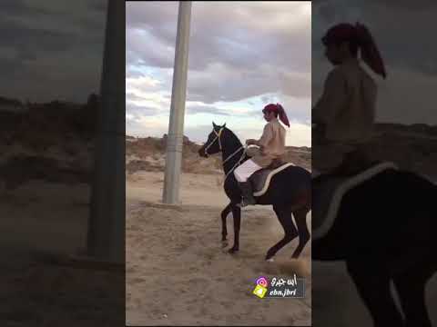 شعر عن الخيل العربيه الاصيه