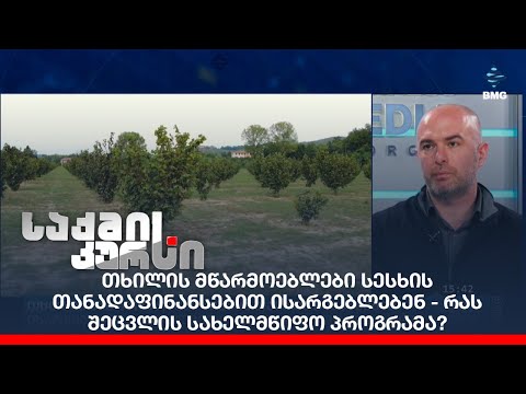 თხილის მწარმოებლები სესხის თანადაფინანსებით ისარგებლებენ - რას შეცვლის სახელმწიფო პროგრამა?