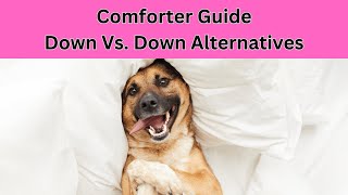 Comforter Guide: Down Vs. Down Alternative